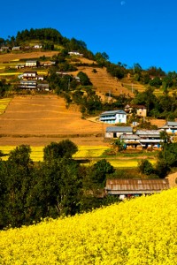 In 6 photos: Resplendent Lalitpur