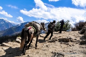 At Lord Shiva’s abode: Kailash region in 5 photos