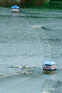 Indra Sarovar: The lake is ‘artificial’, but its beauty is natural