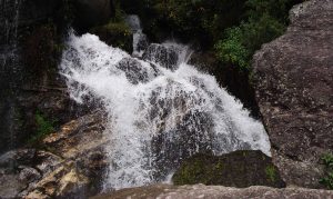 Finding nature’s long-lost music and motion in Kathmandu’s monsoon