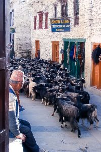 To Marpha: Nepal’s postcard vintage village