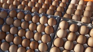 Consumers complain egg prices go up as traders’ will