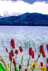 Rara: The crystal-clear lake and its different hues