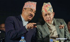 RPP is not Kamal Thapa’s personal property: Rana