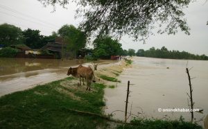 Flood claims 23 people in different parts of Nepal, four missing