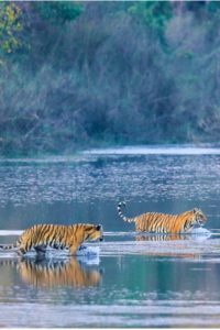 At Nepal’s western frontier, wilderness beckons