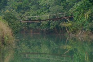 4 arrested for wildlife smuggling in Bardiya