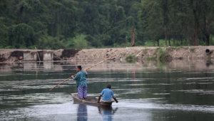 Rhinos or roads? Nepal deals with a tricky balancing act