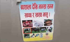 Govt features cow on ‘hygienic meat’ poster, withdraws after protest