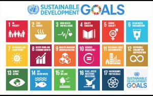 Harnessing digital innovation and open source for advancing SDGs in Nepal