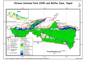 2 rhinos found dead in Chitwan