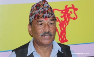 Reviving monarchy in Nepal is now impossible: Kamal Thapa