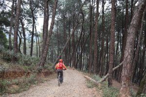 Cycling from Bhim Dunga via Switzerland Park to Kalu Pandey Memorial Ground (Part I)