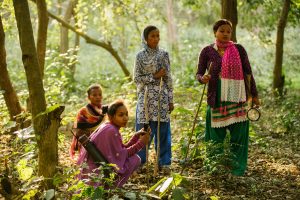 How Nepal’s wildlife conservation turned participatory, landscape-centric and high-tech