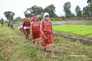 Covid-19 deepened food insecurity in Nepal: WFP