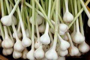 6 reasons why garlic is a healthy spice to use daily