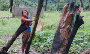 Protecting Nepal’s traditional knowledge: A legal imperative for the future