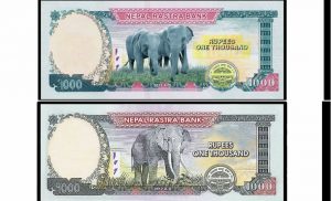 This is why Nepal changed elephant picture on 1,000-rupee notes