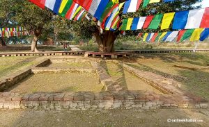 Nepal launches fresh efforts to list Tilaurakot, the palace of Buddha’s father, as a World Heritage site