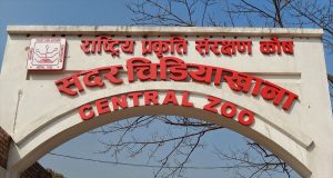 Nepal’s Central Zoo reopens after 9 months of Covid-19 closure