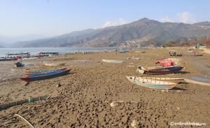 Phewa lake dried up drastically after decades. Locals suspect foul play, but authorities call for calm