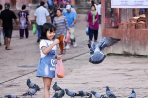 Bird watching in Kathmandu’s urban jungle: A trip down memory lane