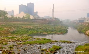 Sirsia, once the revered river of southern Nepal, is an exemplar of water pollution today