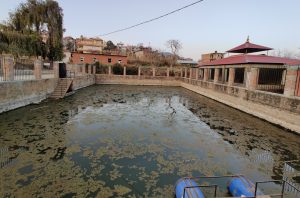 The only surviving pond in a village of seven ponds on Kathmandu’s outskirts