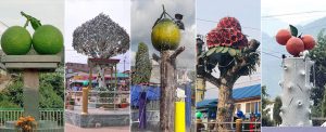 More ‘trees’ for less greenery: The ‘concrete’ irony in Nepal’s cities