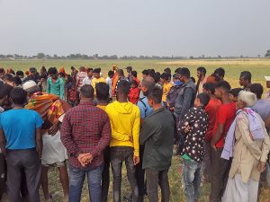 Jhapa man dies in wild elephant attack