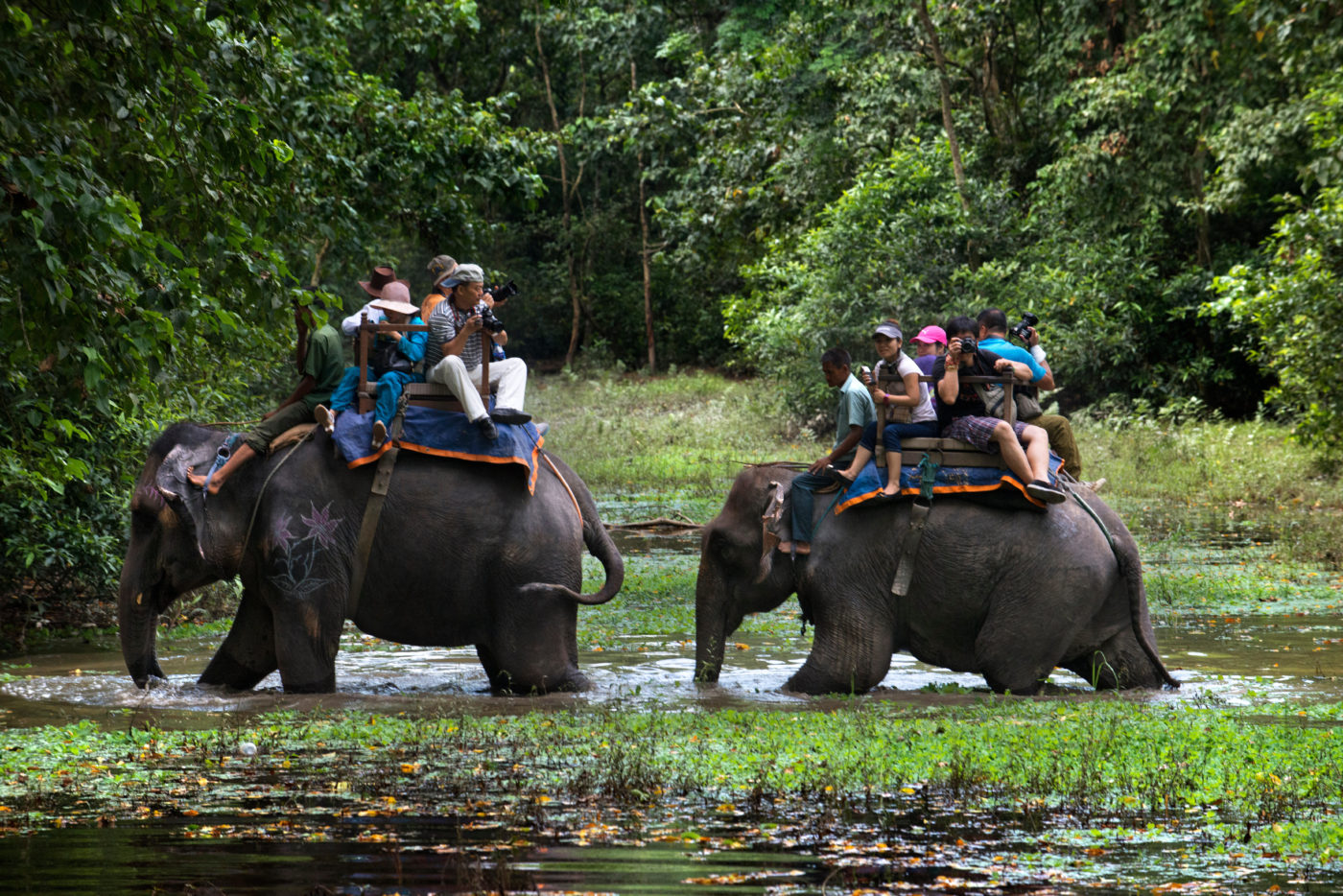 chitwan ecotourism destination in Nepal