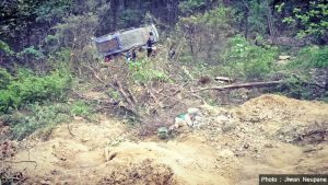 4 killed in Nawalparasi bus fall