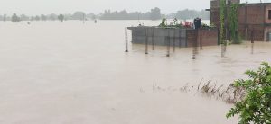 2 killed, 1 missing in Nawalparasi flood