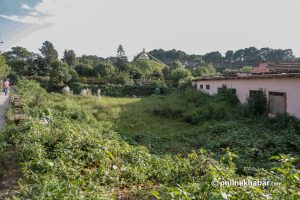 Saptapatal Pokhari: A motivating case for Kathmandu heritage conservation