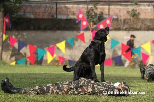 Kukur Tihar: Here’s why Nepal Army sends its sniffer dogs to UN peacekeeping missions