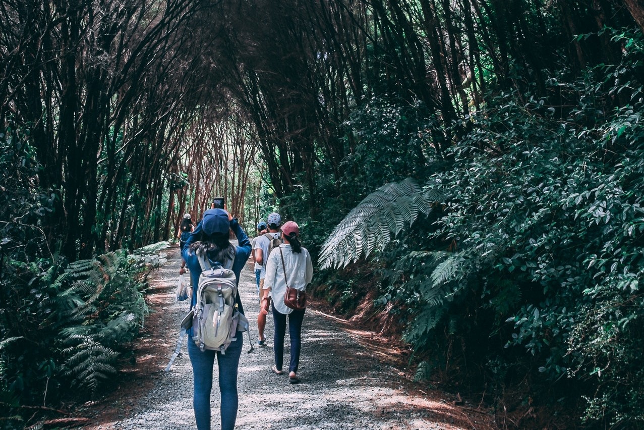 ecotourism nature walk