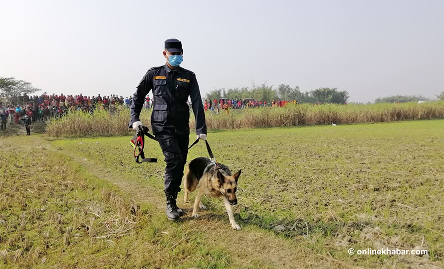 A policeman leads a sniffer dog around a crime site when two corpses were found mysteriously, in January 2022.