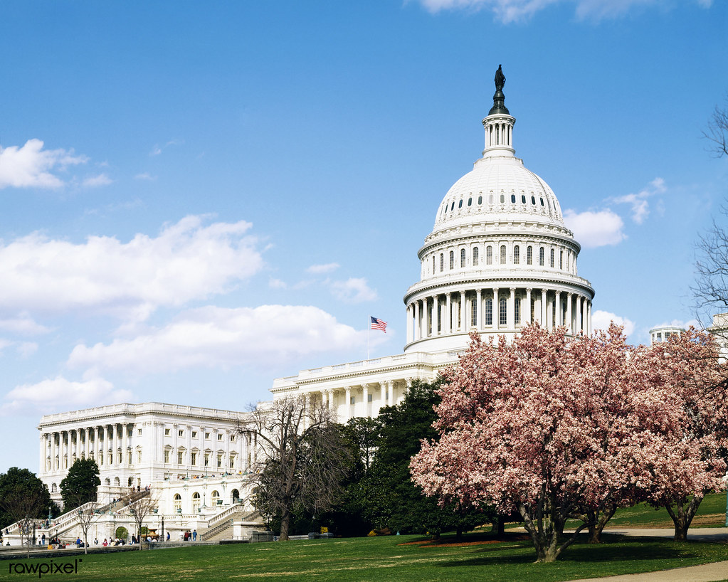 The US Congress building. Photo: Flickr