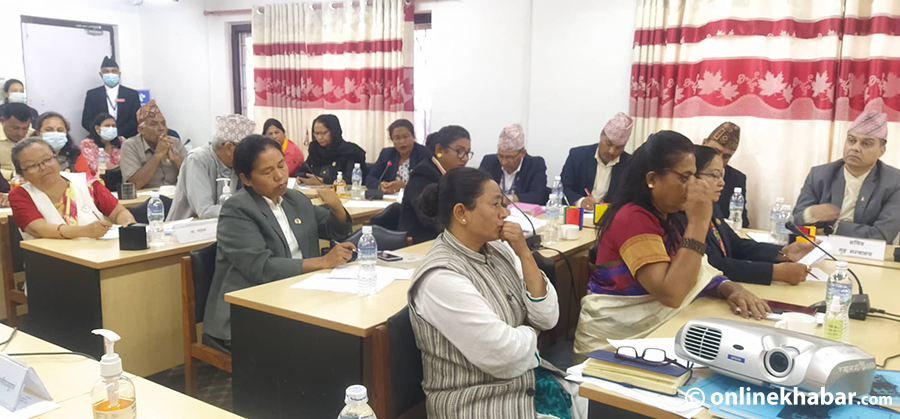 A meeting of the Women and Social Affairs Committee in Parliament, on Monday, May 23, 2022