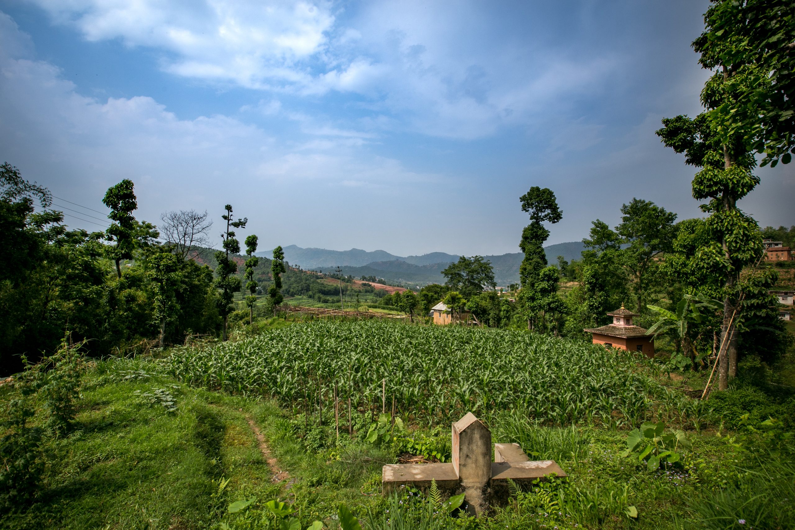 Kavre village Dhulikhel ICIMOD local vegetables