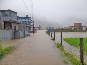 Incessant rainfall wreaks havoc in Kaski: 1 killed, 2 injured and over 100 houses inundated