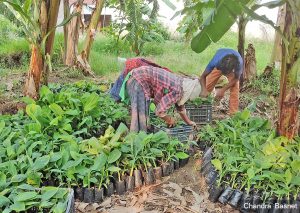 GeoKrishi: Bridging the rural gender gap and empowering women entrepreneurs in agriculture