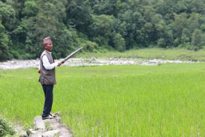 Climate change is troubling Karnali, but locals are learning coping strategies too. Here’s a case