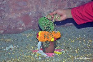 Bada Dashain begins with Ghatasthapana today