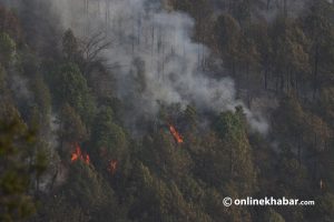 Forest fire destroys 4,500 hectares of forest area in Ramechhap