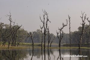 Biodiversity COP15: Amid apathy at home, Nepal joining global environmental event with mixed feelings