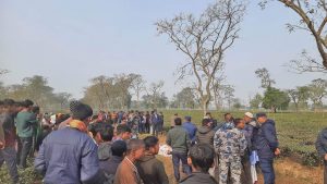 Jhapa: 2 found dead in mysterious circumstances in tea estate again