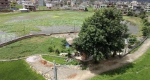 Bojepokhari: Efforts to refill the dried-up glory of a historic Lalitpur pond resume after hits and misses