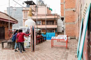 Birds in Kathmandu as neighbours: Let’s listen to chirps from Chhimeki Chara photo exhibition