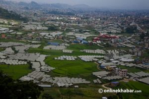 Arable land decreasing in the Kathmandu valley: Why is it a problem?